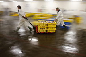 Emigrantų rojuje pakvipo problemomis: jau kas penktas gyvena iš pašalpų 