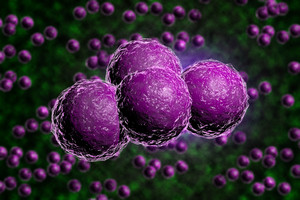 Svarbus proveržis medicinoje – atrastas labai veiksmingas antibiotikas