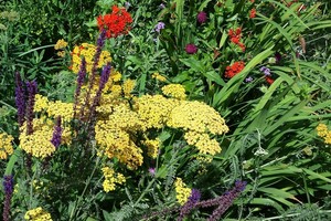 Norite, kad kiemas būtų apželdintas pagal naujausias madas? Susipažinkite su šiuo stiliumi