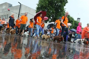 Į Alytaus miesto šventę – lietaus prausiama miestelėnų eisena