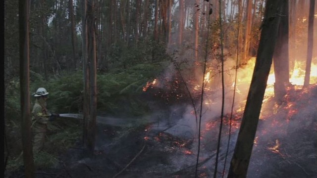 Didžiulis miško gaisras Portugalijoje nusinešė mažiausiai 57 gyvybes