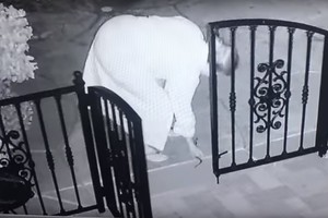 Iki ašarų juokinga moters reakcija supratus, ką ji palaikė šuns žaislu