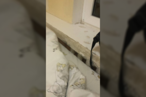 Vilnietę pašiurpino vaizdai Vaikų ligoninėje: „Vos neišsimušėme dantų“