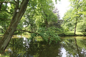 Vakarinis  aplinkelis  atvėrė  fantastiškas vietas naujiems būstams  – miškas, žaluma, vanduo  