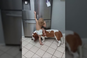 Bendros vaiko ir šuns pastangos gauti skanėstų prajuokino milijonus