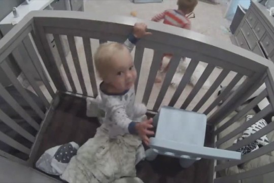 Linksmas broliukų „pabėgimo“ planas sužavėjo pasaulį