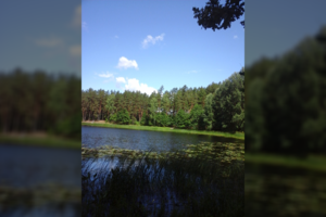 Atėjęs prie ežero pasibaisėjo: ar jie supranta ką daro?