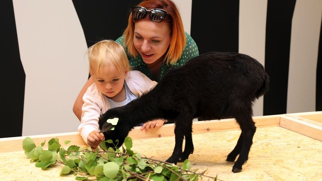 Šalies garsenybės su vaikais lankėsi naujame zoologijos sode Kaune 