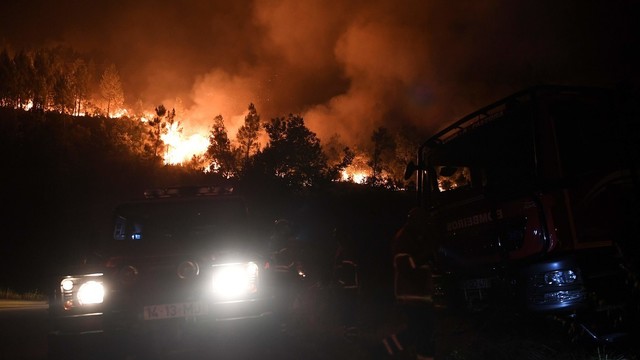 Ispanijoje gaisras niokoja biologine įvairove garsėjantį nacionalinį parką