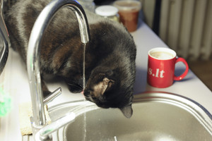 Netikėtumas gavus sąskaitą: užgriuvo svetimų skolų našta