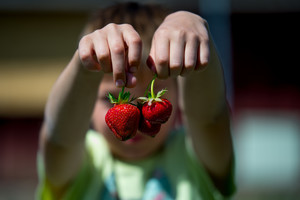 Paaiškino, kada Lietuvos pirkėjai renkasi lietuviškas, o kada importuotas braškes?