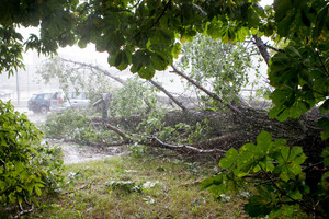 Ketvirtadienis išaušo su galingomis liūtimis: apie pavojų perspėja ir ugniagesiai, ir kelininkai