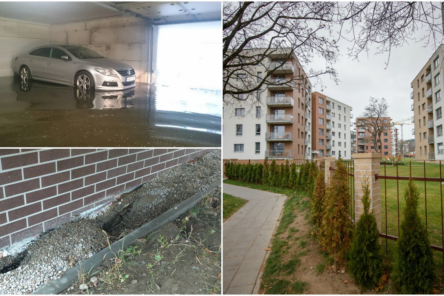 Kvartalo „Žvėryno namai“ vieno daugiabučio gyventojai tikino, kad jų požeminiuose garažuose kas kartą po lietaus telkšo balos, todėl sienos jau apaugo pelėsiu.