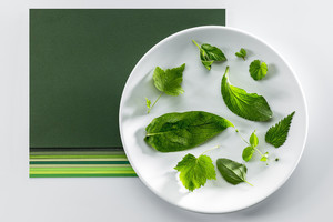 Tūkstantis ir viena žalia spalva