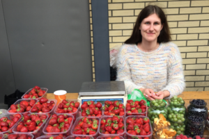 Grybų turguje vis daugiau, bet kainos dar kandžiojasi