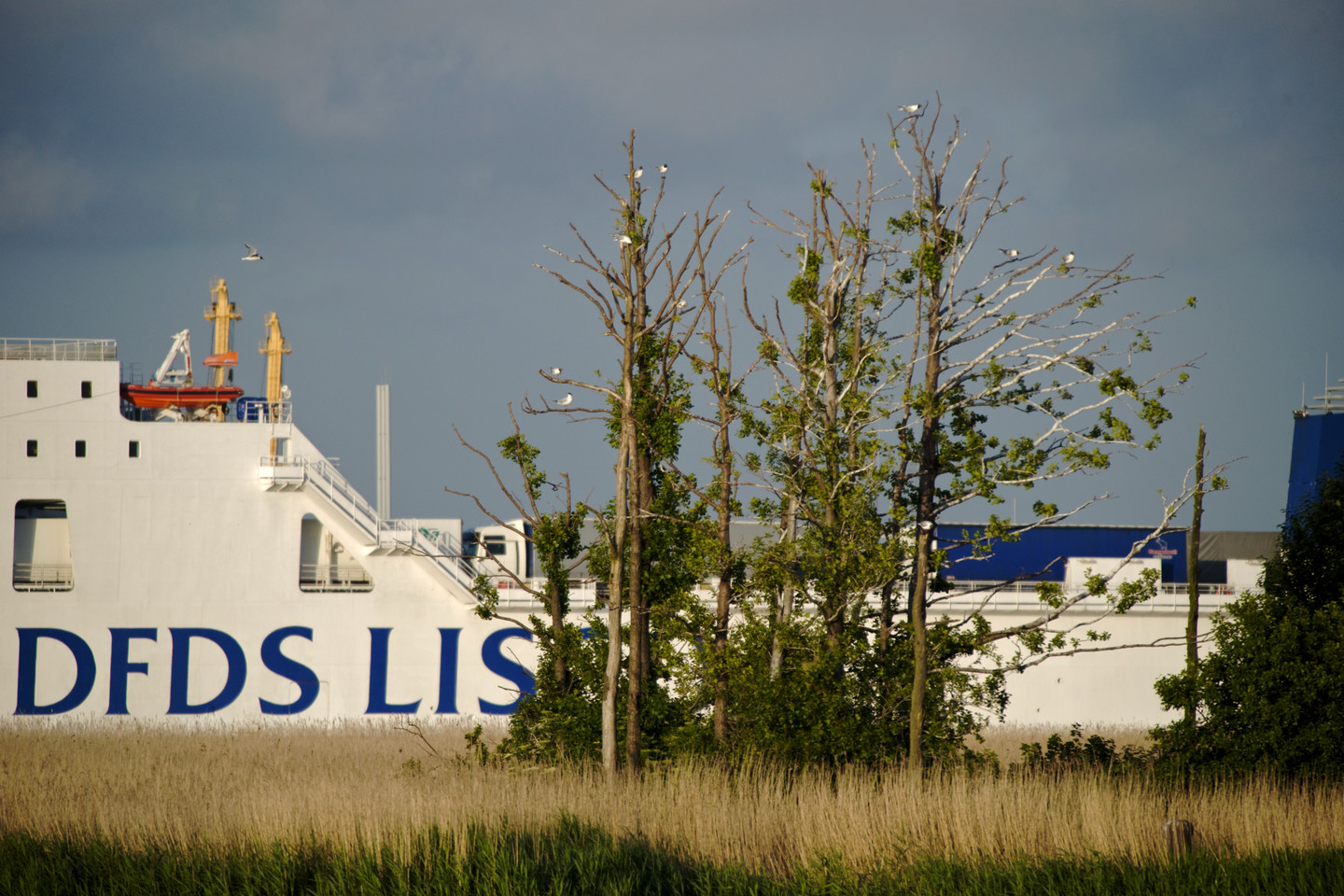 Laivybos ir logistikos grupė DFDS imasi pervežimo keliais veiklos Lietuvoje, Vilniuje įkurdama logistikos centrą.<br>V.Ščiavinsko nuotr.