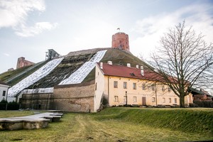 Griūnantis valstybės simbolis parodo, ko galima tikėtis iš valdžios