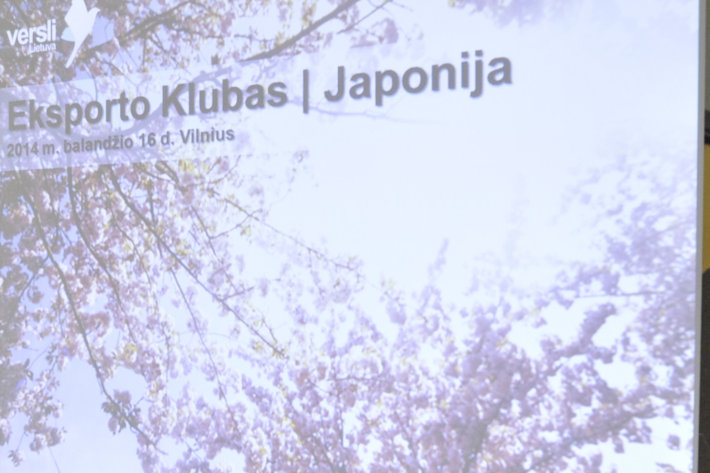 V.Ščiavinsko asociatyvi nuotr.