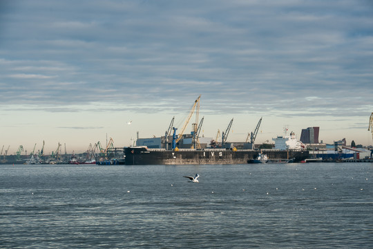 D.Trumpas žada saugoti Rytų Europos prieigą prie alternatyvių šaltinių energijos tiekimui 