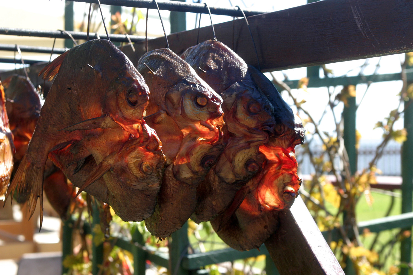  Nida traukė ir traukia poilsiautojus.<br> "Lietuvos ryto" archyvo nuotr.