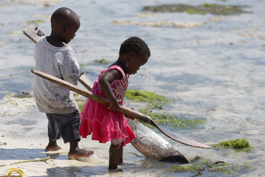 Kauno mokslininkai pasiūlė žiūrovams telefonu  išmatuoti fotografo „pagautas“ emocijas