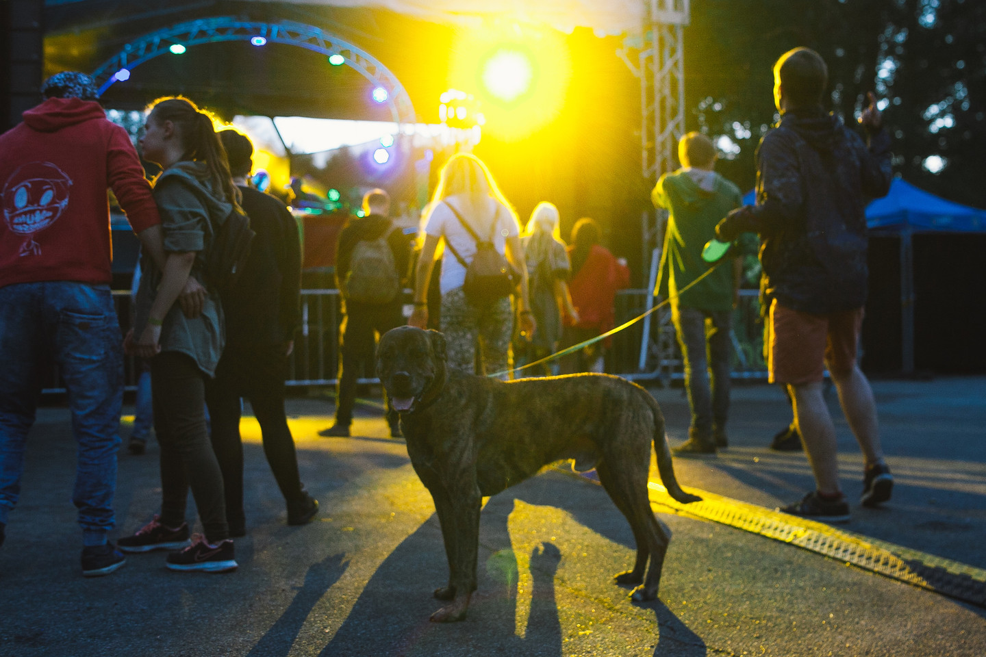"Revolution Festival" Varėnoje vyks iki sekmadienio.<br>Festivalio rengėjų nuotr.