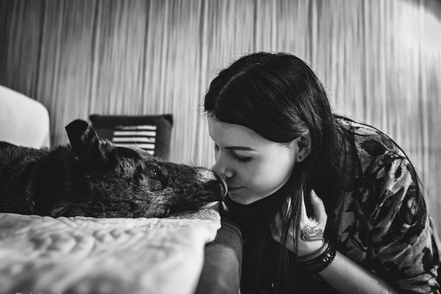  Viena po kitos, viena po kitos ir mano pirštas sustojo ties šio šuns nuotrauka. Tą sekundę, atrodė, širdis suvirpėjo: tai mano šuo.<br> E. Rutkauskaitės nuotr.