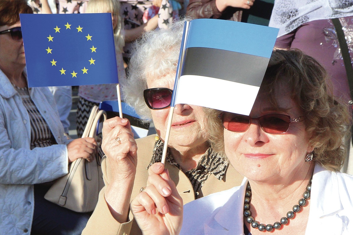 Skaitmeninėmis technologijomis garsėjanti Estija perima pirmininkavimą ES Tarybai ir tikisi garsinti šalies vardą. <br>AFP/„Scanpix“ nuotr.