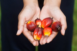 Daugelio produktų ingredientas galimai sukelia vėžį, bet lietuviams tai nė motais