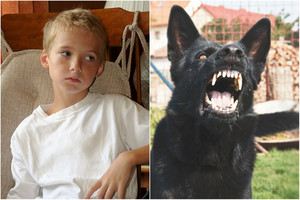 Vaikus ir šunis auginantiems: pagrindiniai ženklai, kad keturkojis puls