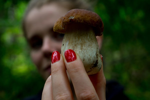 Tingite keliauti į mišką? Grybus auginkite namuose