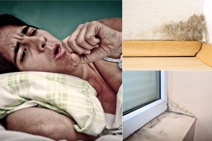 Daugelio sveikatos sutrikimų priežastis slypi namų sienose. Štai, ką reikia žinoti