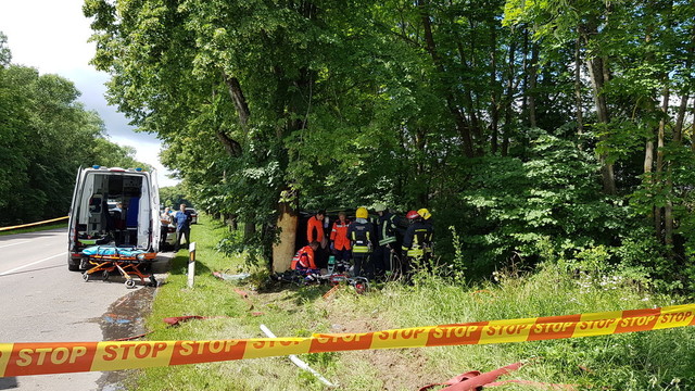 Skaudi avarija netoli Lentvario: į medį rėžėsi automobilis, vairuotojas ir keleivis žuvo