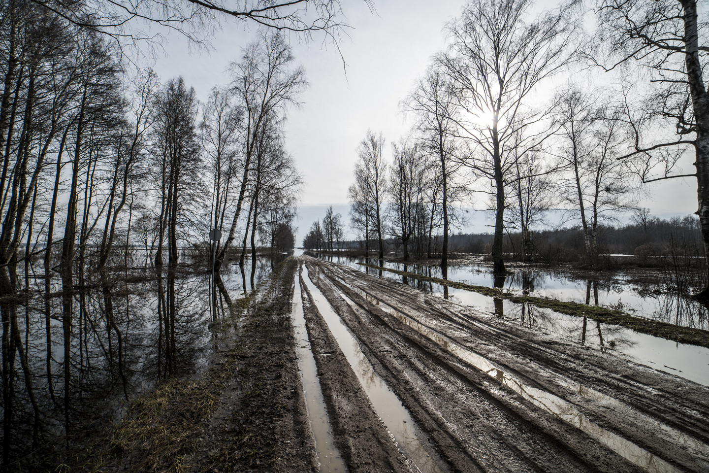 Potvynių metu automobiliai į Rusnę gabenami traktoriais.<br>V.Ščiavinsko nuotr.