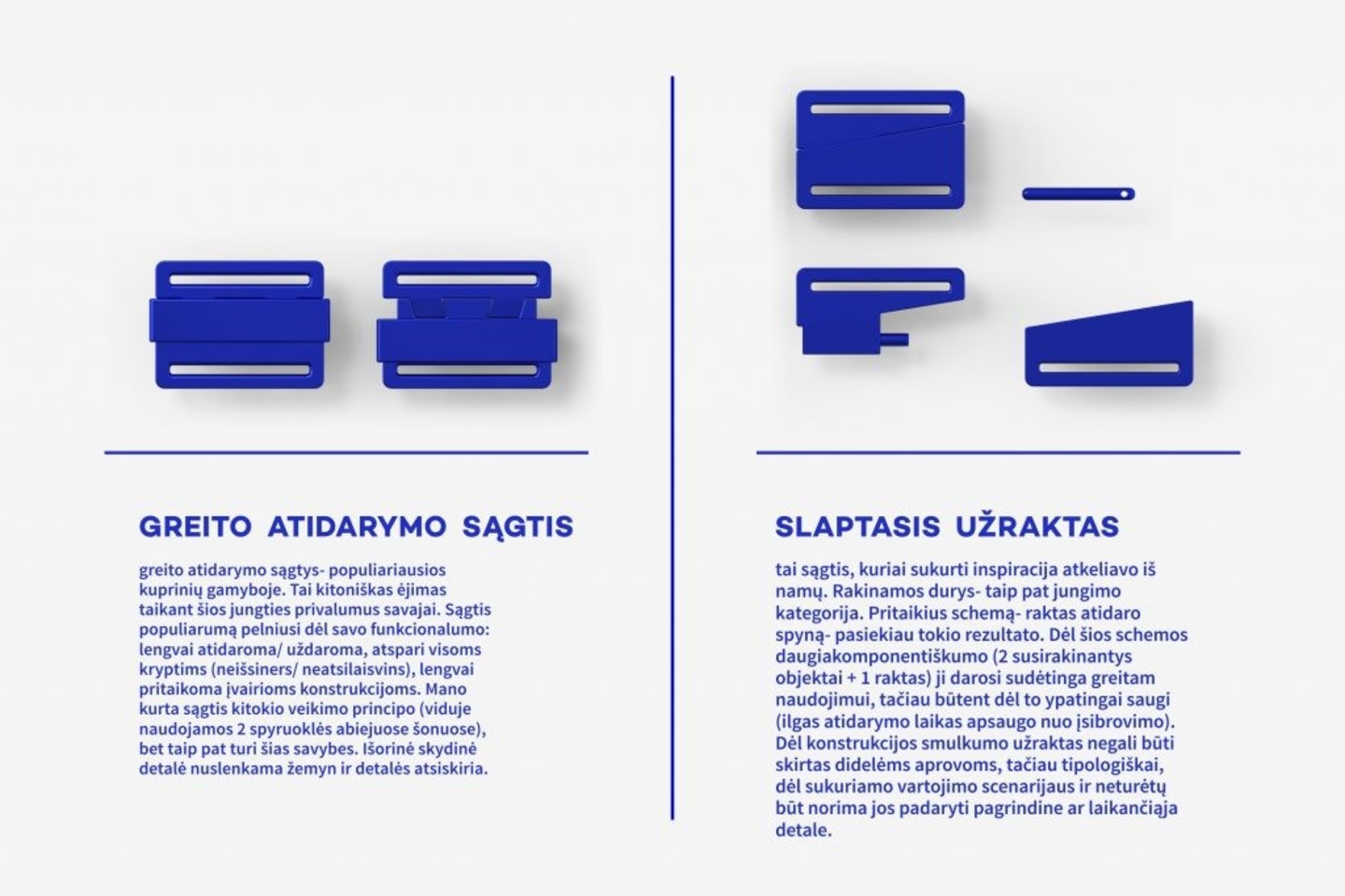  Komisija aukščiausiai įvertino itin praktišką dizaino projektą – Vilniaus Dailės akademijos produkto dizaino katedros bakalaurės Kamilės Korsakaitės sagčių, pritaikytų automobilių diržams, rinkinį UNIT'E.<br> Asmeninio archyvo nuotr.