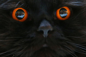 Ar jūsų katei trūksta dėmesio? Tai atskleis paprastas testas