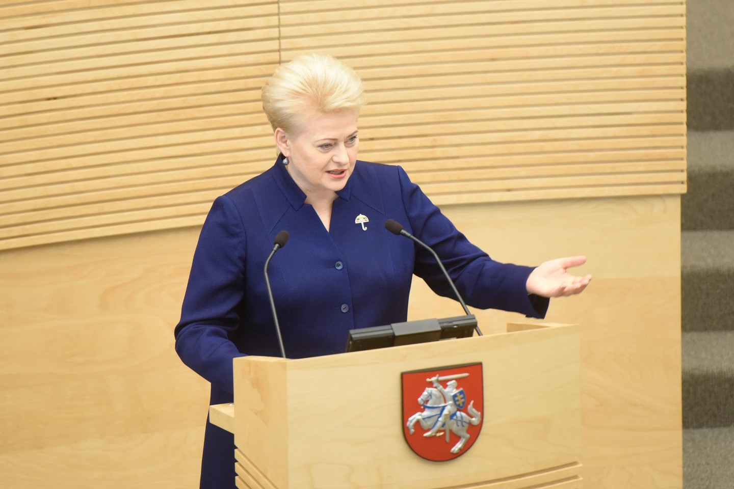 Aršiai kritikuodama Seimo ir Vyriausybės darbą D.Grybauskaitė laimi populiarumo balsų.<br> D.Umbraso nuotr. iš archyvo