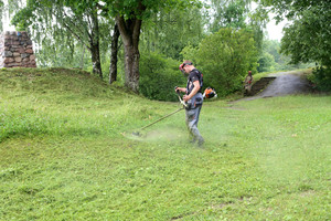 Kai pamatė žolės pjovėjo algą, nusviro rankos: „Pasirinkau ne tą profesiją“