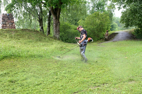 Kai pamatė žolės pjovėjo algą, nusviro rankos: „Pasirinkau ne tą profesiją“