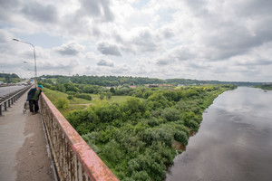 Kauno upių pakrantes vaduos nuo brūzgynų ir Sosnovskio barščių