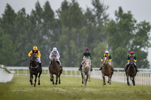 Nematyti Lietuvos stebuklai 