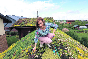 Užsispyrusi kaunietė pasiekė savo – stogas tapo žydinčia laukyme