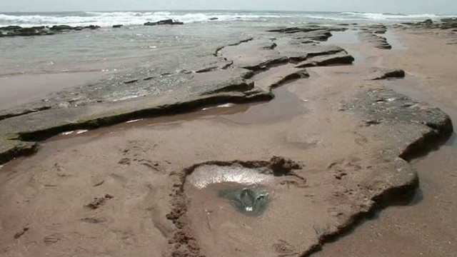 Maroko paplūdimyje rasti puikiai išsilaikę dinozaurų pėdų įspaudai