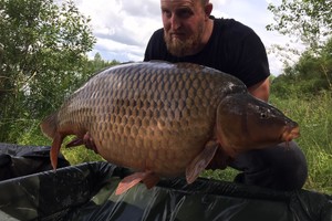 Tauragėje pagautas milžiniškas, rekordinio dydžio karpis