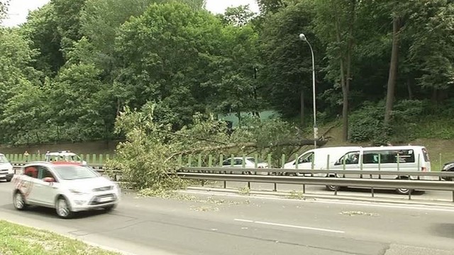 Gatvėje ant važiuojančio automobilio užvirto medis