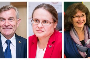 Trys „valstiečiai“ siūlo Seimo nariams nustatyti 40 darbo dienų atostogas