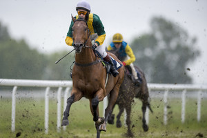 Dešimt dalykų, kuriuos privalote žinoti, jeigu stebėsite žirgų lenktynes