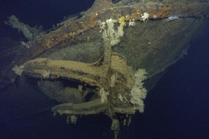 Vandenynų gelmėse tūno turtai, bet ne tokie, kokius įsivaizduojate