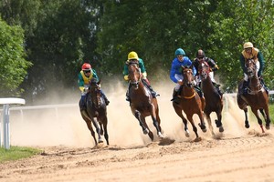 Žirgų lenktynėse kvapą gniaužiančios pergalės finišo tiesiojoje 