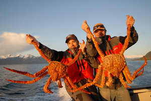 Prieš  Jūros šventę  "Akropolyje" -  paroda apie  pasaulį  šiurpinančius krabus